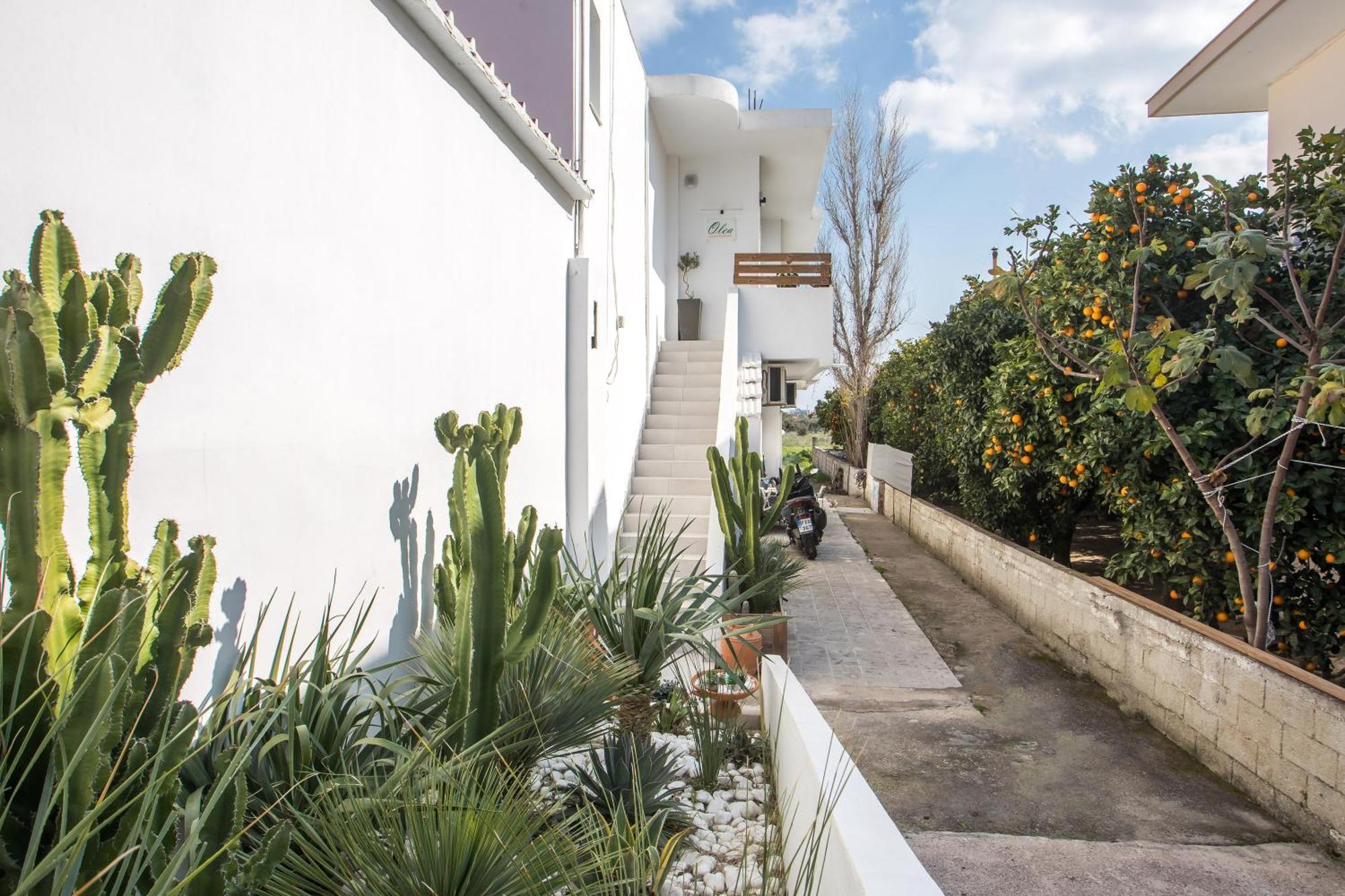 Olea Luxury Apartment Afantou Exterior photo